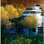 丰台摄影写真,记录这座城市的美丽瞬间